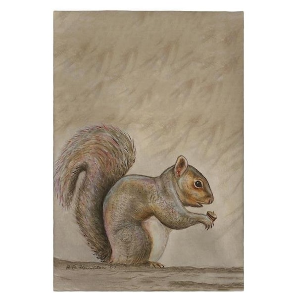 Betsy Drake Betsy Drake GT314 Squirrel Guest Towel - 20 x 20 in. GT314 - main